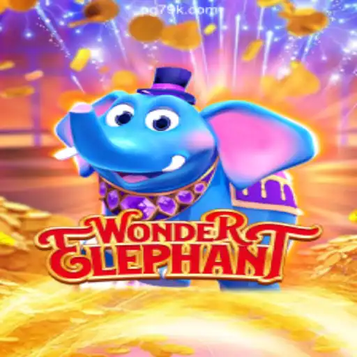 WonderElephant: A Journey into the World of Slots on 79K.COM